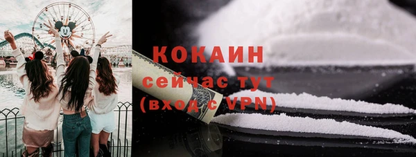 молекула духа Надым