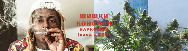 молекула духа Надым