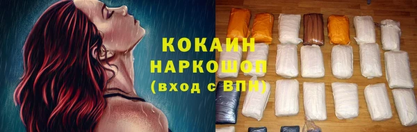 шишки Аша