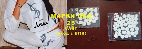 шишки Наволоки