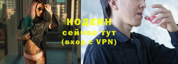 молекула духа Надым