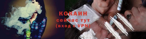молекула духа Надым