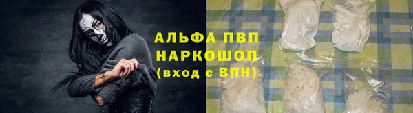 молекула духа Надым