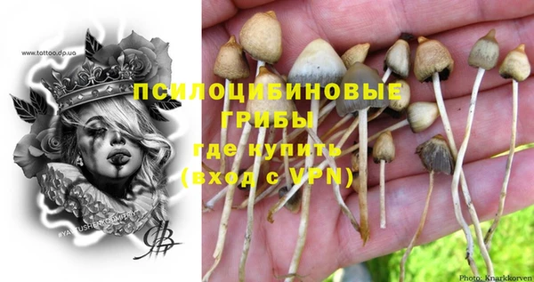шишки Наволоки