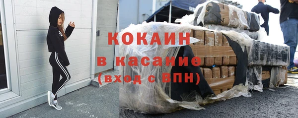 шишки Аша