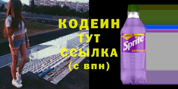 молекула духа Надым